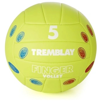 Tremblay Тренировъчна волейболна топка tremblay