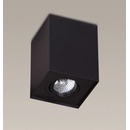 MaxLight C0071