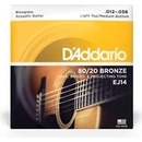 D'addario EJ14