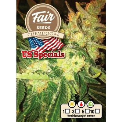 Fair Seeds Chemdog 4 semena neobsahují THC 10 ks