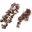 Repti Zoo rastlina Koleus Blumego 40 cm