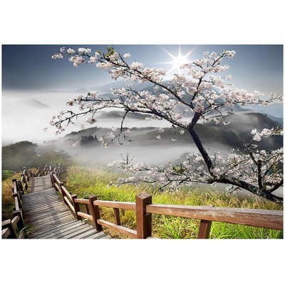Decopanel Obraz na plátne Sakura, 60 × 90 cm, OB-02648