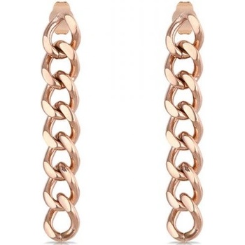 Daniel Klein Дамски обеци Daniel Klein DKJ. 3.5003-3 (DKJ.3.5003-3)