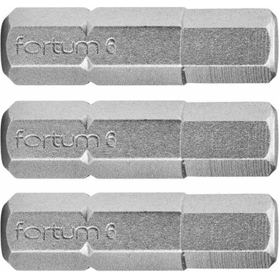 Fortum 4741506 Bit imbus 3ks, H 5x25mm, S2