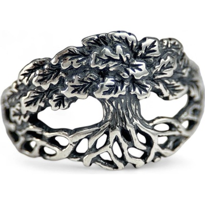 Drakkaria DUB stříbrný prsten P27604