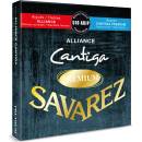 Savarez 510ARJP