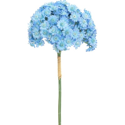 ZVÄZOK ACHILEA MODRÁ 32CM