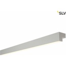 SLV 1001304