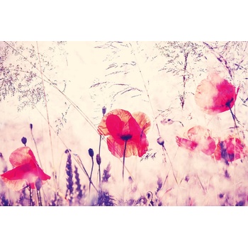 DIMEX ART s. r. o Флизелинов фототапет винтидж макове 375 x 250 см