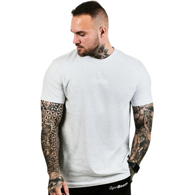 GymBeam Men‘s T-shirt FIT Grey