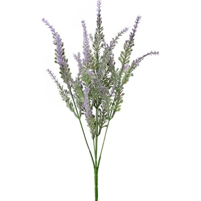 ZELEŇ LEVANDUĽA FIALOVÁ 30CM