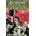 Walking Dead Kirkman Robert