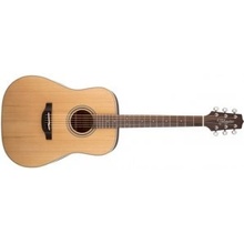 Takamine GD20