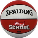 Spalding NBA School