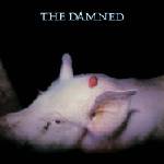 Universal Strawberries (RSD22 EX): Damned - CD (089960)