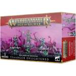Games Workshop Tzaangor Enlightened (83-74)