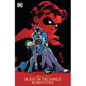 FROM THE DC VAULT DEATH IN THE FAMILY RO | STARLIN JIM (ISBN: 9781799500957)