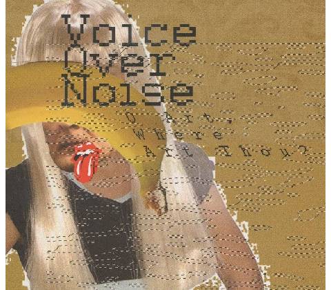 Voice Over Noise