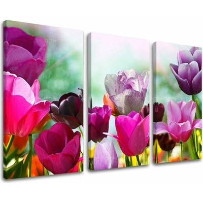 Obraz na stenu KVETY - 90x60