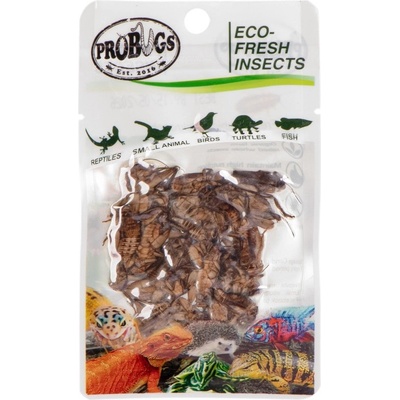 ProBugs Eco-Fresh Cricket 6 g