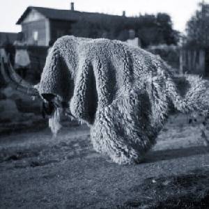Random Gods - Pneuma (LP) (5065004291934)