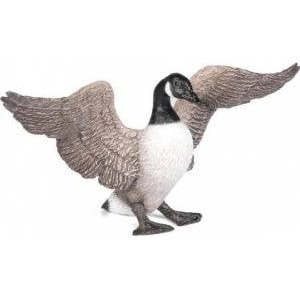 Papo Canadian Bernickel