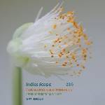 Supraphon Indies Scope 2015 - CD (013617)