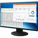 Eizo FlexScan EV2410R-BK