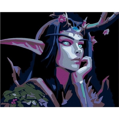 zuty Malování podle čísel night elf 50 x 40 cm vypnuté plátno na rám