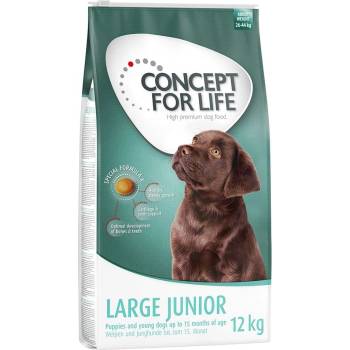 Concept for Life Large Junior 2 x 12 kg