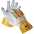 Cerva EIDER