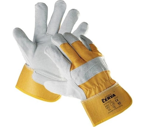 Cerva EIDER