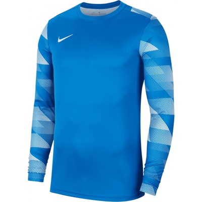 Nike Dry Park IV Jersey LS GK cj6066 463