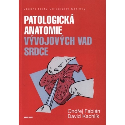 Patologická antomie vývojových vad srdce