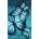 Excess Хавлия Excess Blue Butterfly (EX-21796)