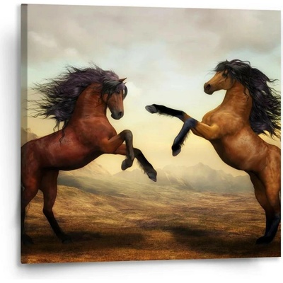 Sablio Obraz Vzpínající se koně - 110x110 cm