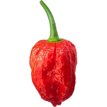 Semínka Piquant Paprička chilli NAGA MORICH