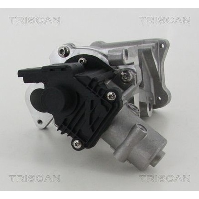AGR - Ventil TRISCAN 8813 10007