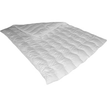 Zdravsi-spanok antialergický paplón Medic 140x220