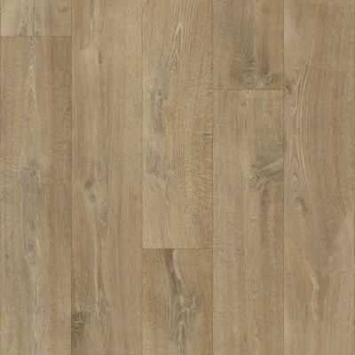 Beaulieu Fortex Grey 2036 4 m 1 m²
