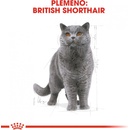 Royal Canin British Shorthair Adult 2 x 10 kg