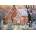 Alipson Puzzle - Puzzle Sugar Plum Cottage - 1 000 piese