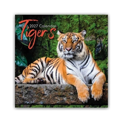 Browntrout Verlags GmbH Tigers - Tiger 2027 - 16-Monatskalender