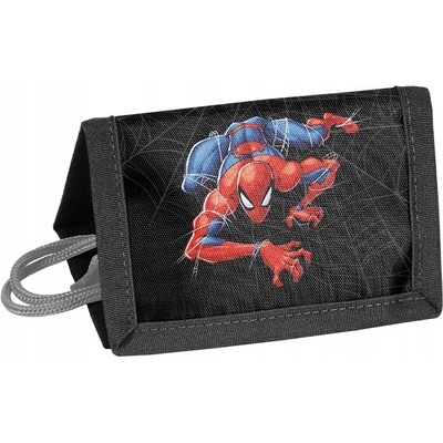 PASO SPIDERMAN