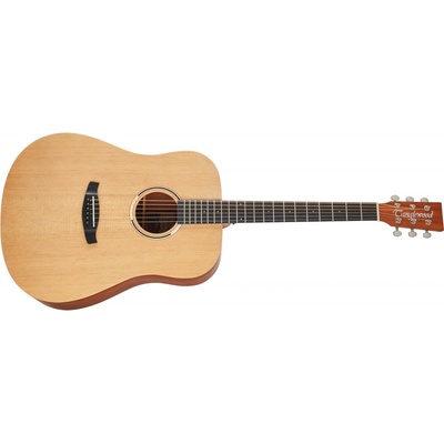 Tanglewood TR 5