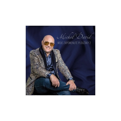 David Michal - Moje zapomenuté ploužáky 2 LP