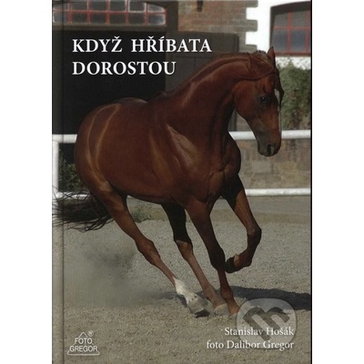 Když hříbata dorostou - Dalibor Gregor, Stanislav Hošák