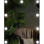 EUROLAMP LED огледало с осветление 9xLED/1W/230V 3000/4000/6000K 50x40 cm IP44 (EU0189)