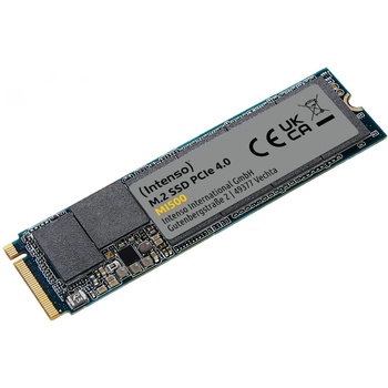 Intenso MI500 500GB M.2 (3836450)