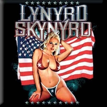 Lynyrd Skynyrd American Flag Магнит (LSMAG05)